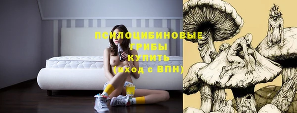 ГАЛЛЮЦИНОГЕННЫЕ ГРИБЫ Лихославль