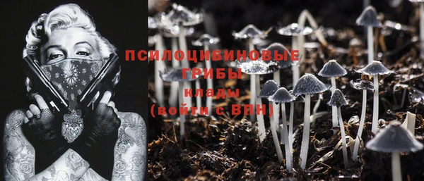 ГАЛЛЮЦИНОГЕННЫЕ ГРИБЫ Лихославль