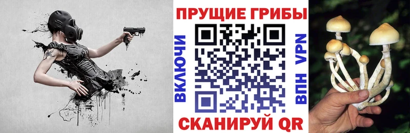Галлюциногенные грибы мухоморы  kraken ONION  Оленегорск  цены  